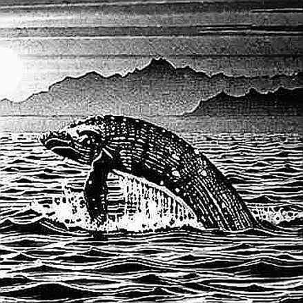 The $218M to $43M Cliff: Satsuma's Bitcoin Treasury and the Hidden Leverage That Killed It