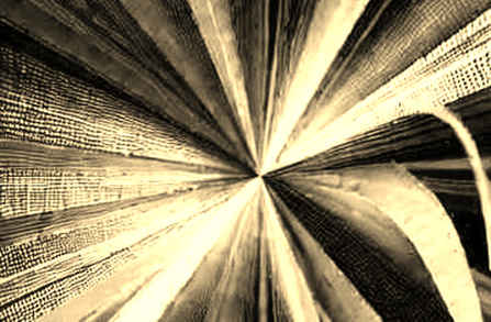 The 43.5% Anomaly: Why Prediction Markets Are Not Oracles of Truth